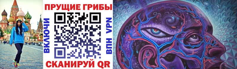 купить наркотик Свирск Псилоцибиновые грибы мицелий